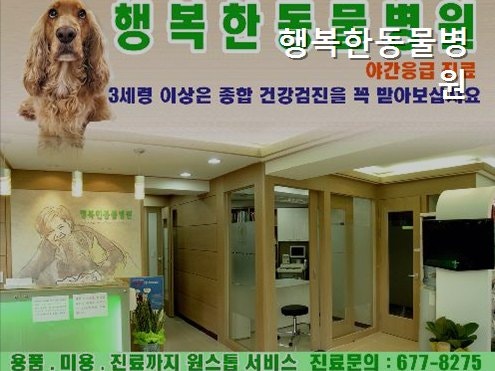 행복한동물병원 사진 4