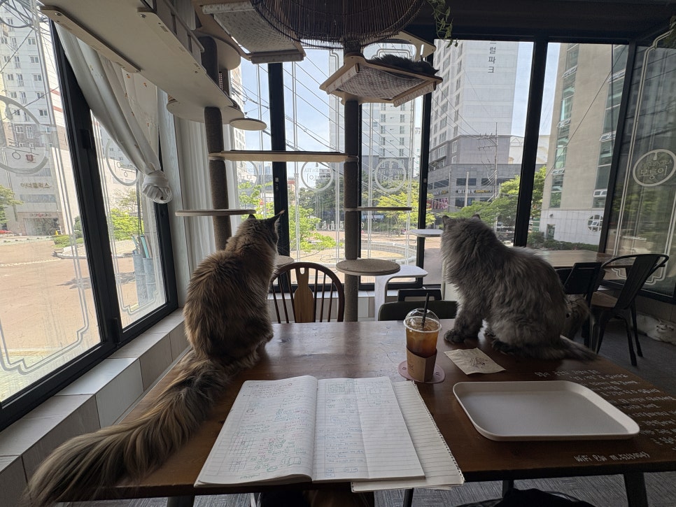 카페모퉁이 사진 1