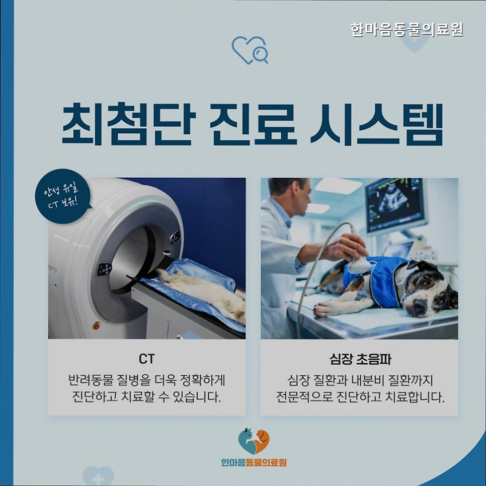 한마음동물의료원 사진 5