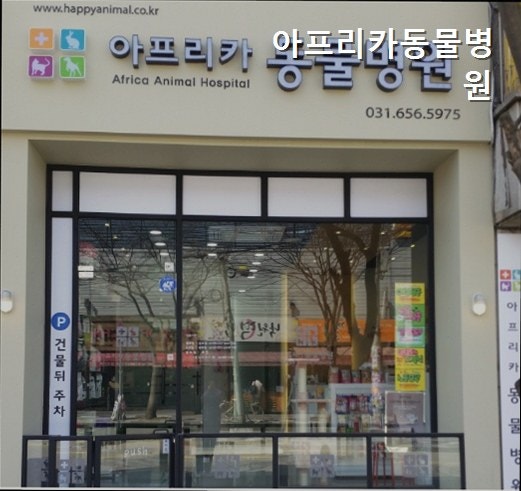 아프리카동물병원 사진 3