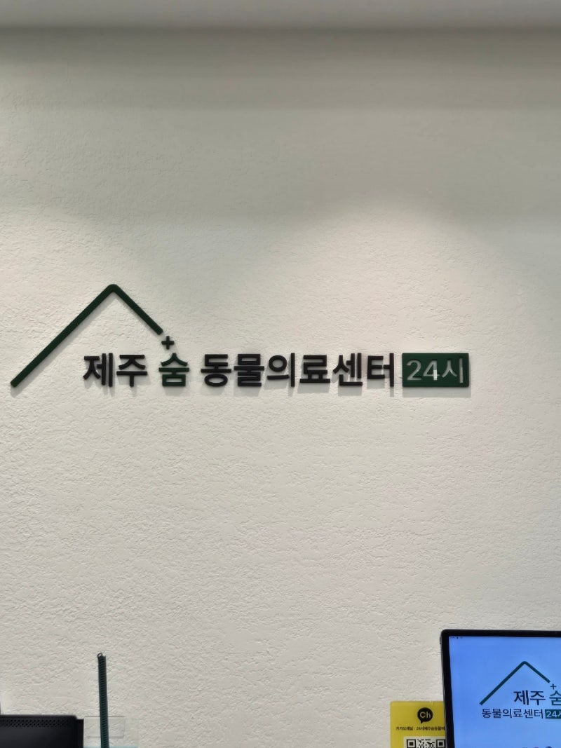 제주시 동물병원 제주숨동물의료센터에서 말티즈 강아지 건강검진 다녀온 상세 후기
