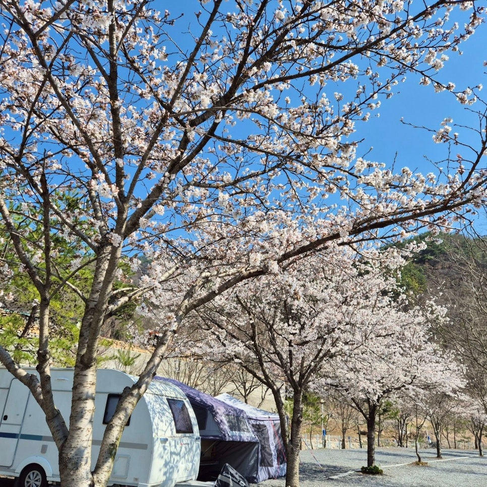 한스빌리지캠핑장 사진 3
