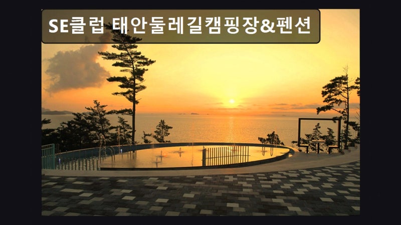 사진 3