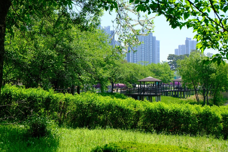 사진 7