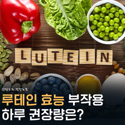 4050 노안, 황반변성 타파! 루테인 효능 부작용 먹는법은? | 복용시간, 권장량, 영양제 선택 기....