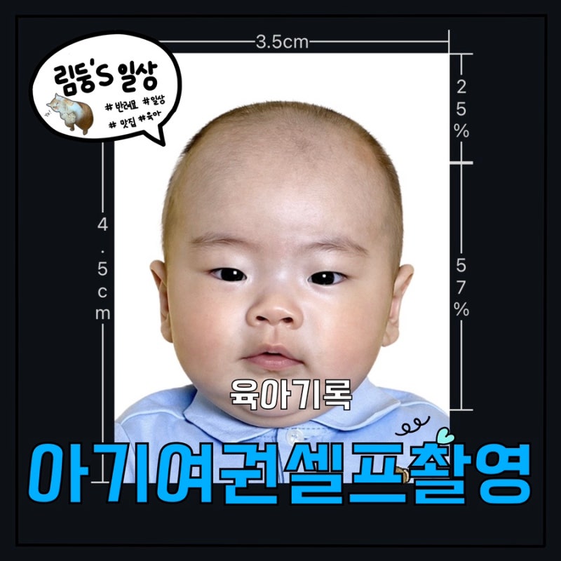 아기 여권사진 셀프촬영 후기 :: 울산남구청 아기여권발급 총정리