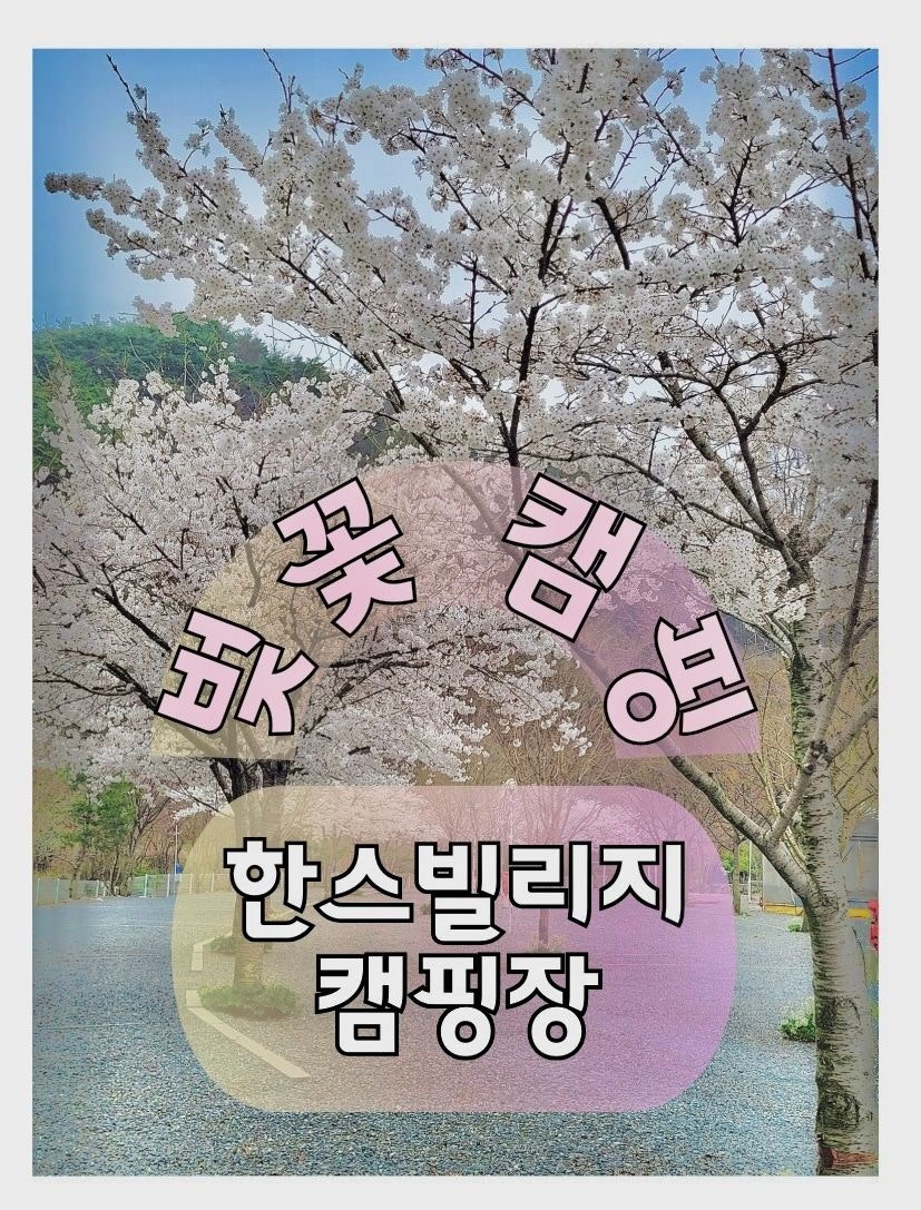 한스빌리지캠핑장 사진 2
