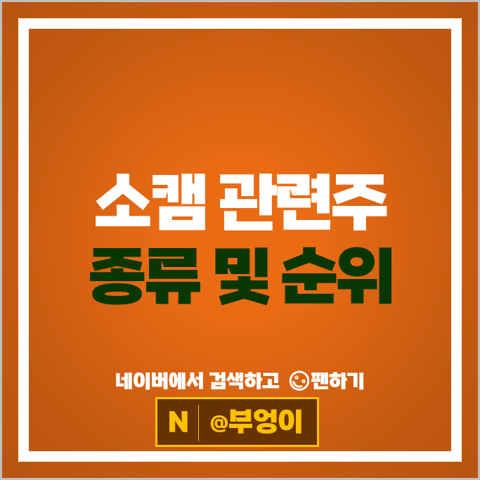 반도체 소캠 관련주, AI 서버 메모리 경쟁에 주목