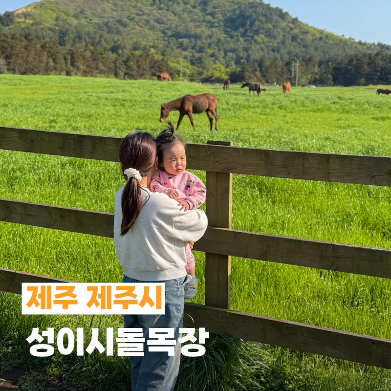 제주 서쪽 여행 코스 추천 성이시돌목장 카페 아이스크림 카라멜 우유