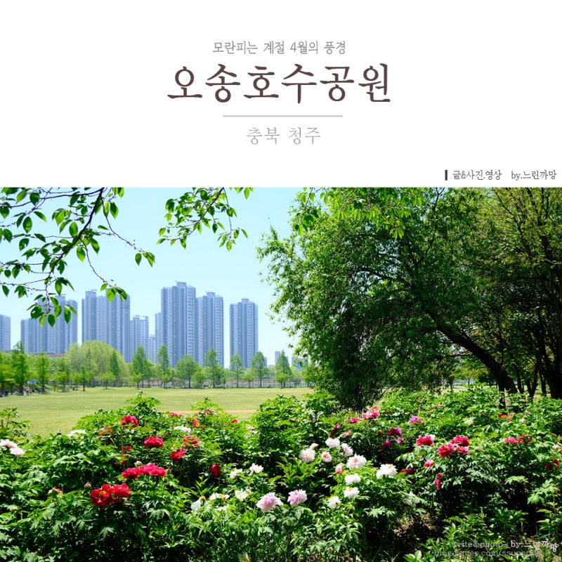사진 6