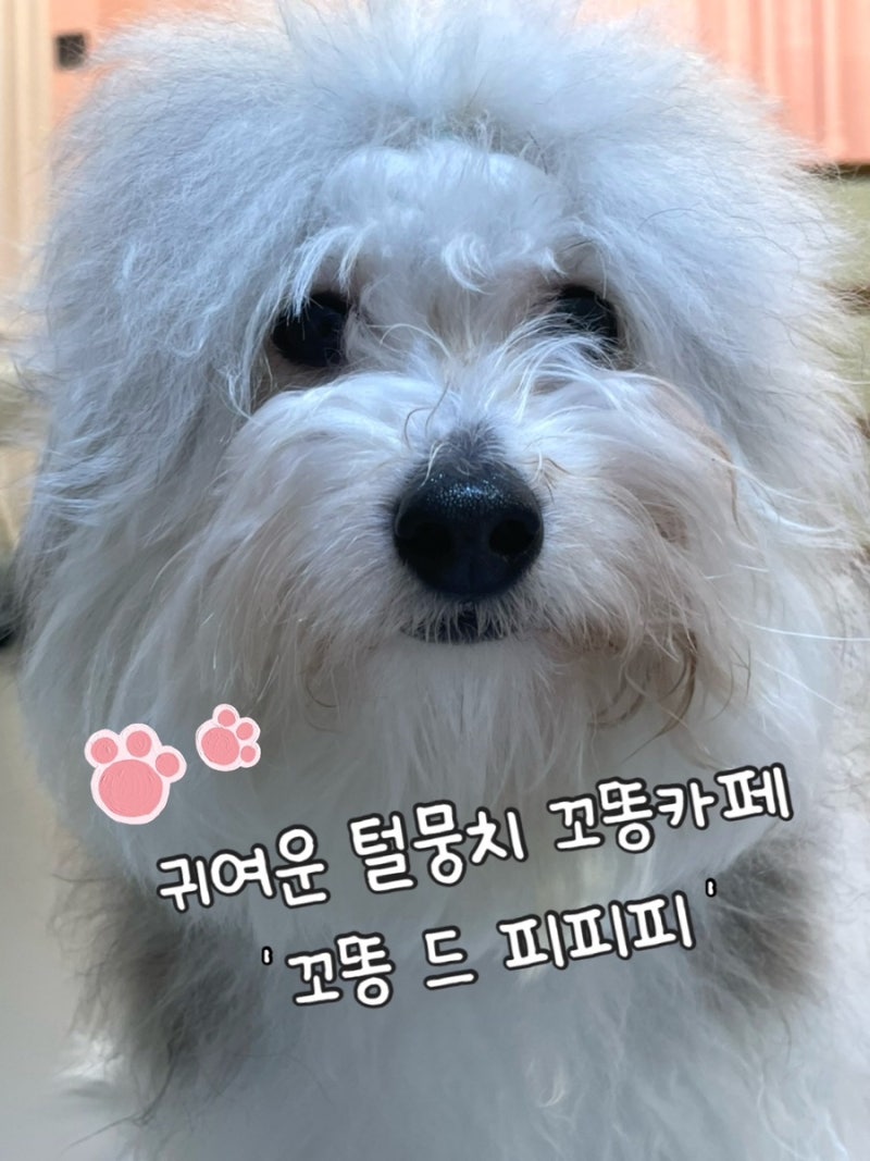 사진 3
