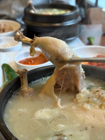 마포삼계탕 신상 핫플 삼계보감 마포공덕점 마포역점심맛집