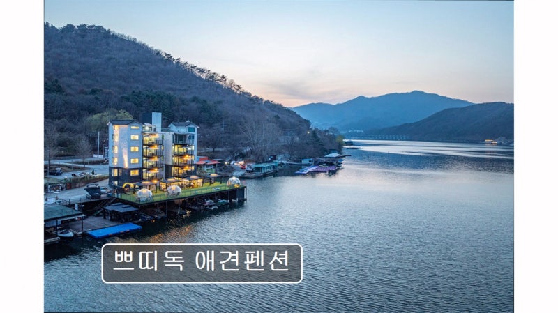 사진 4