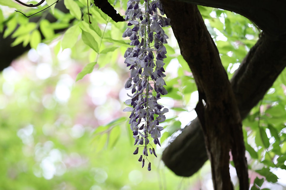 삼풍가든 사진 6