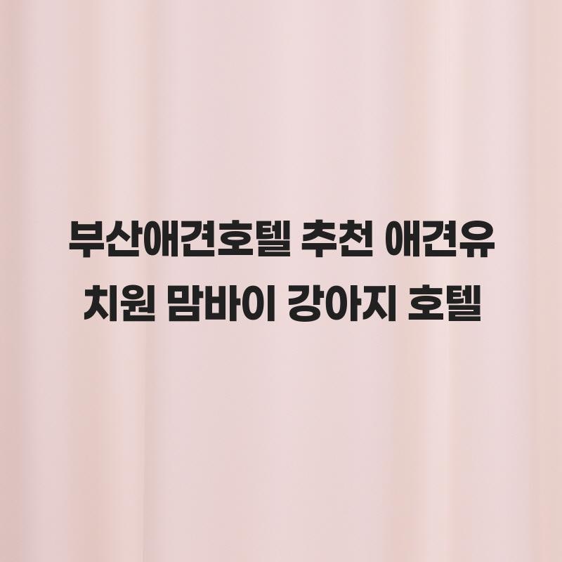 사진 2