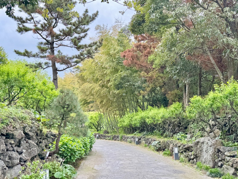 사진 7