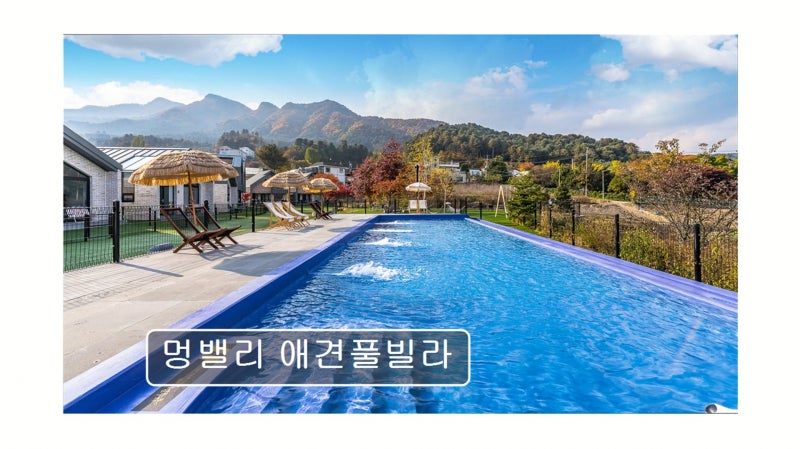 사진 5