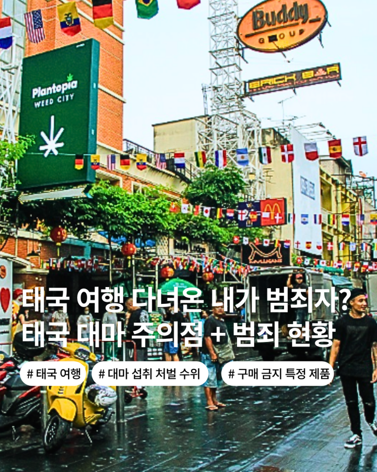  태국 여행 대마 합법 모르고 먹어도 범죄자 처벌 대상 처벌 수위 예방법 구매 금지 특정 제품