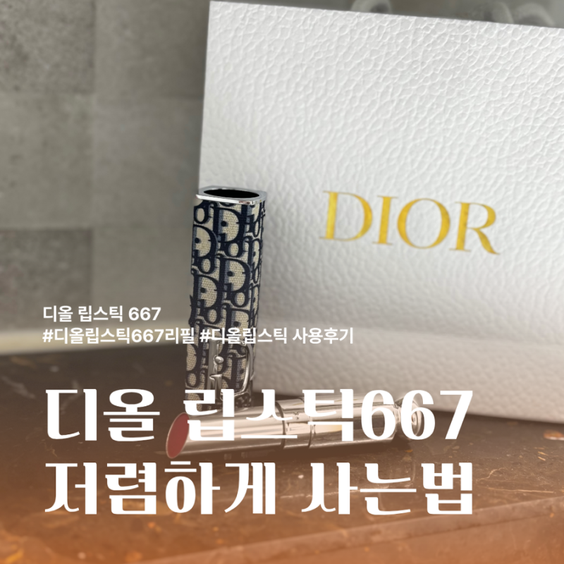 디올 립스틱667 리필 저렴한 가격으로 구입한 후 사용후기