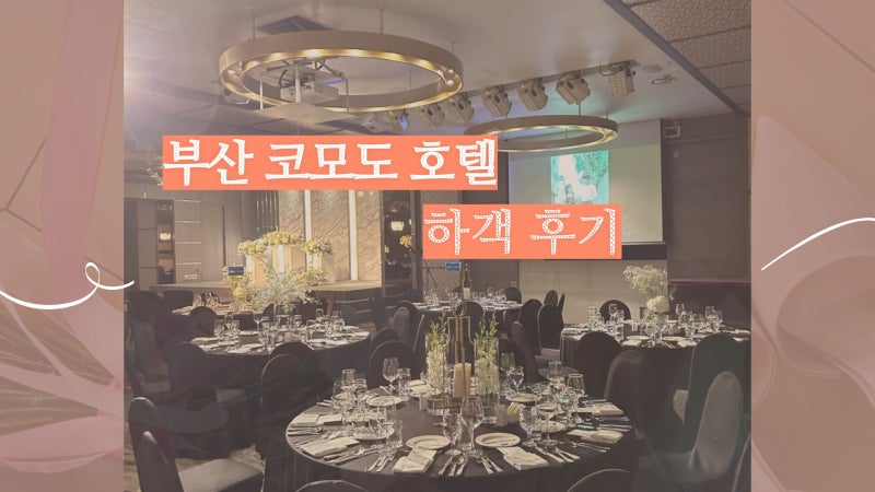 부산 호텔 예식 코모도호텔 웨딩 하객 후기(장점, 아쉬운점)