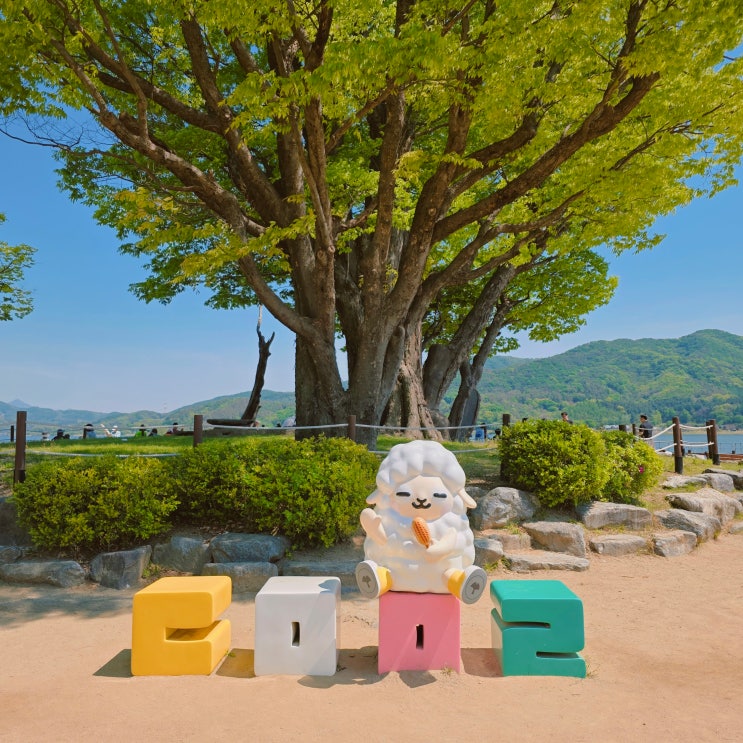  양평 두물머리 주차장 서울근교 주말 나들이 데이트코스 가볼만한 곳