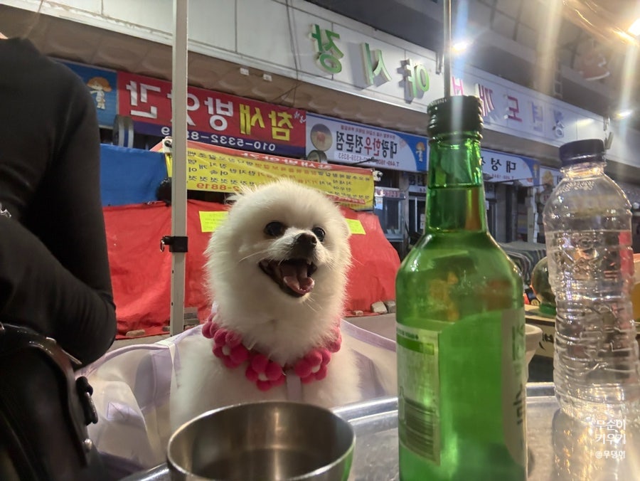 도깨비장터 사진 6