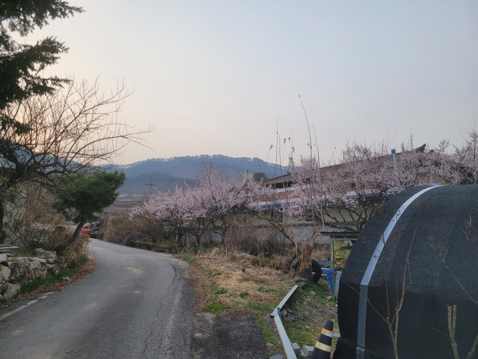 묵봉산 사진 4
