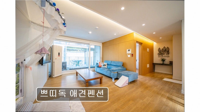사진 3