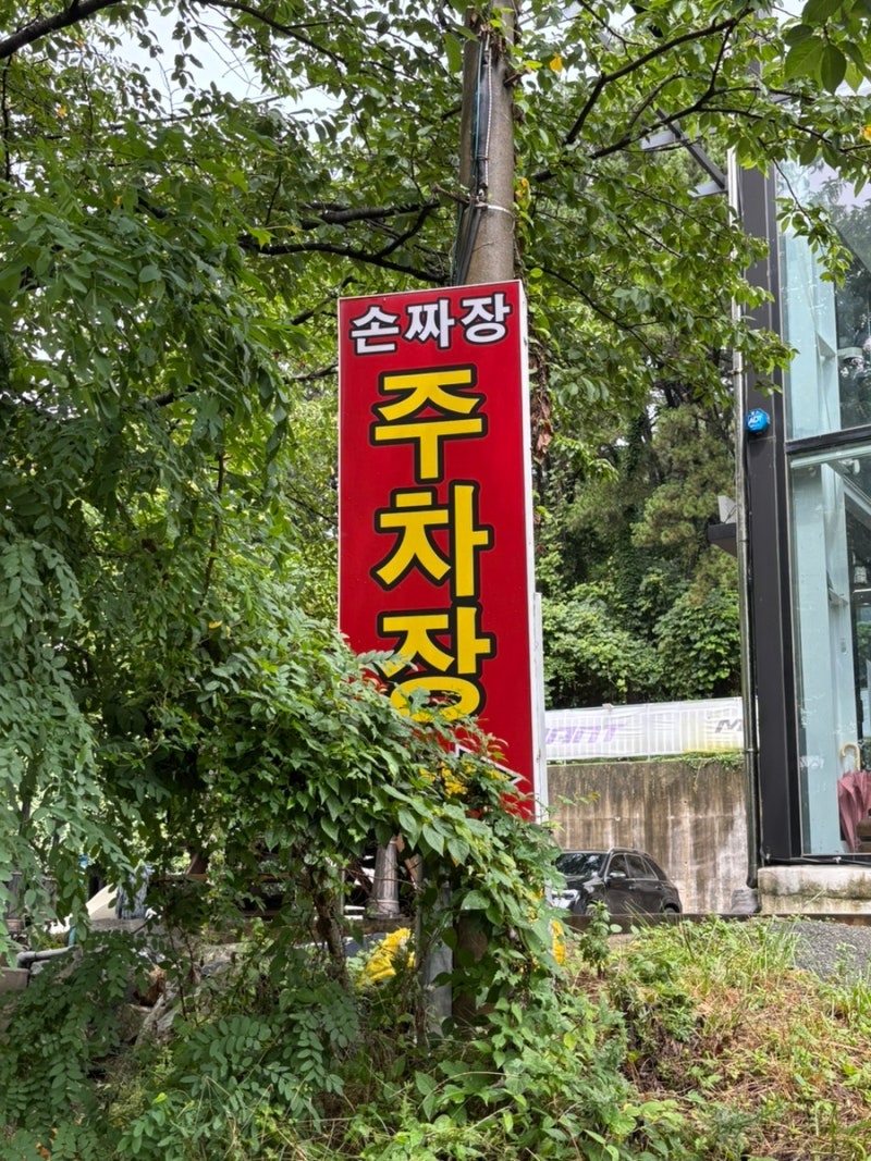 정통손짜장 사진 2