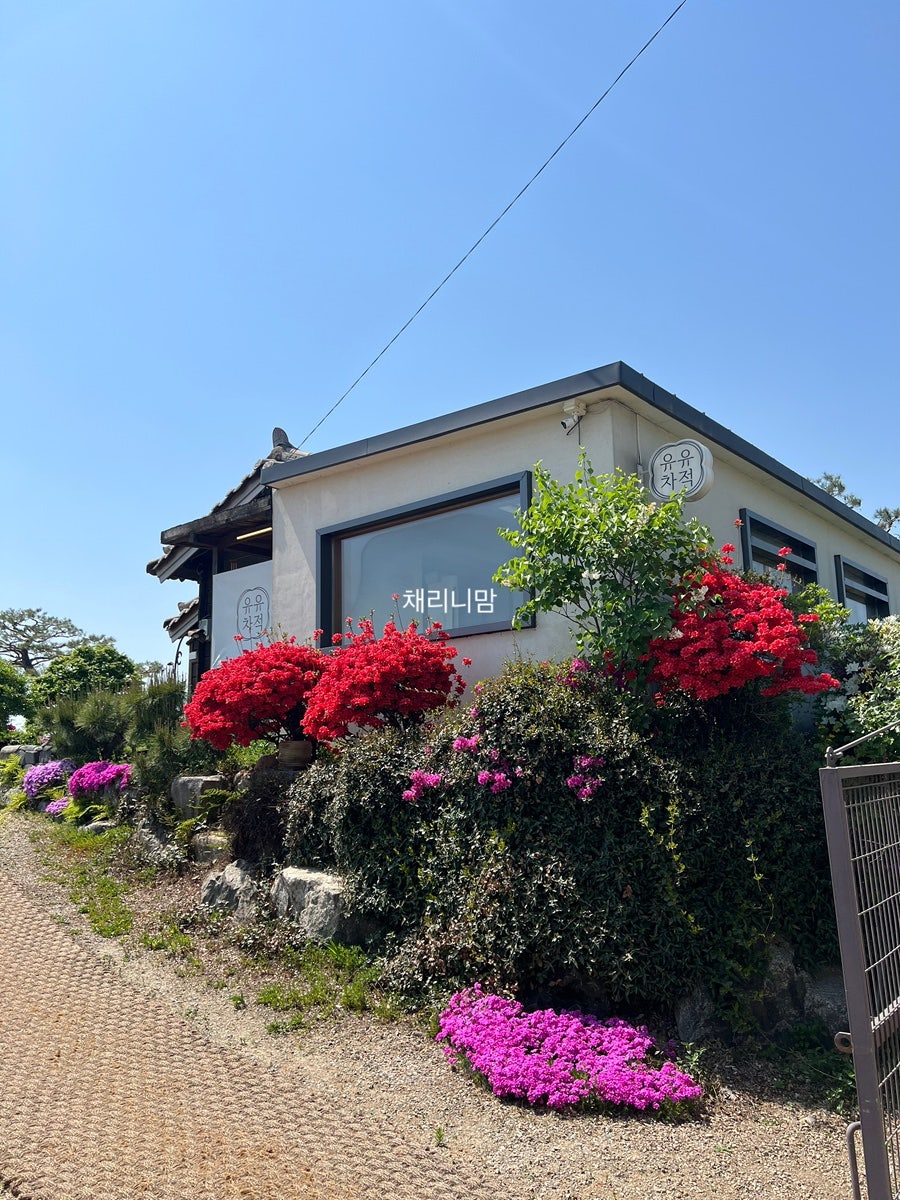 유유차적 사진 3