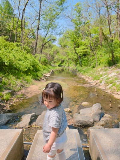 사진 8