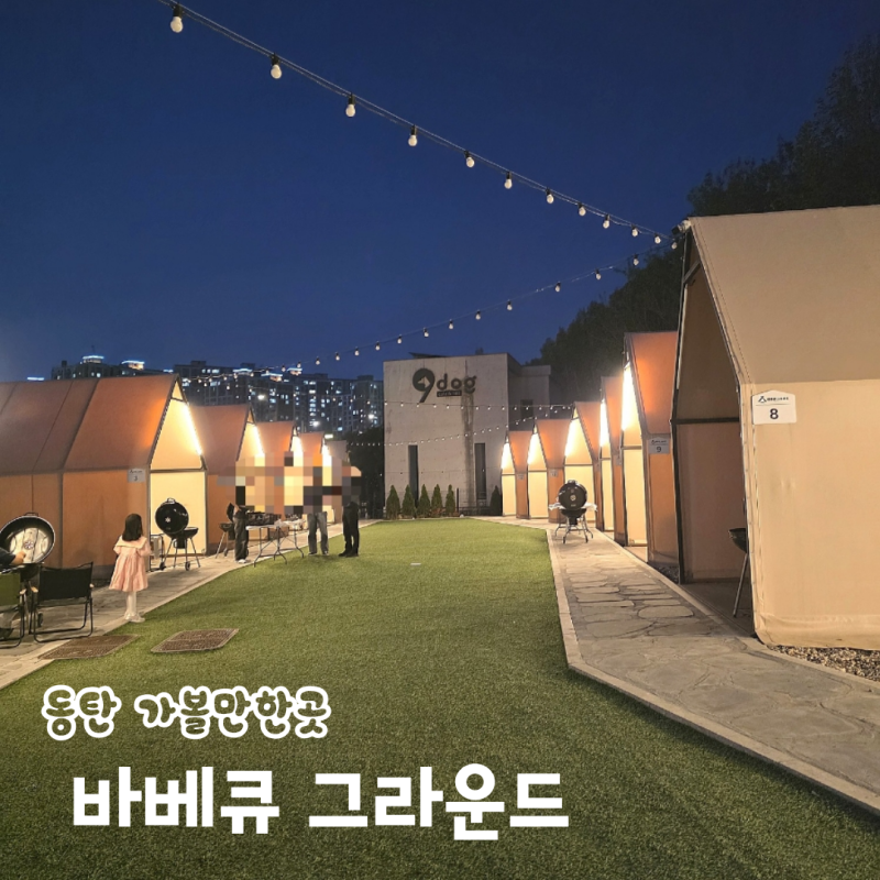 사진 4