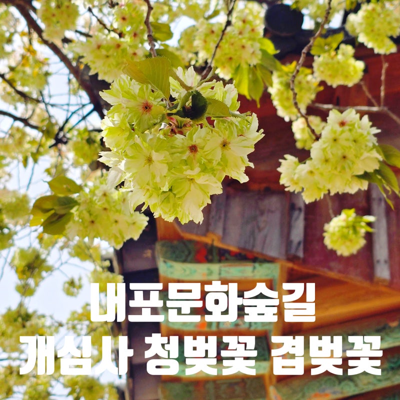 충남 서산 내포문화숲길 불교순례길 5코스 보원사지 개심사 트레킹
