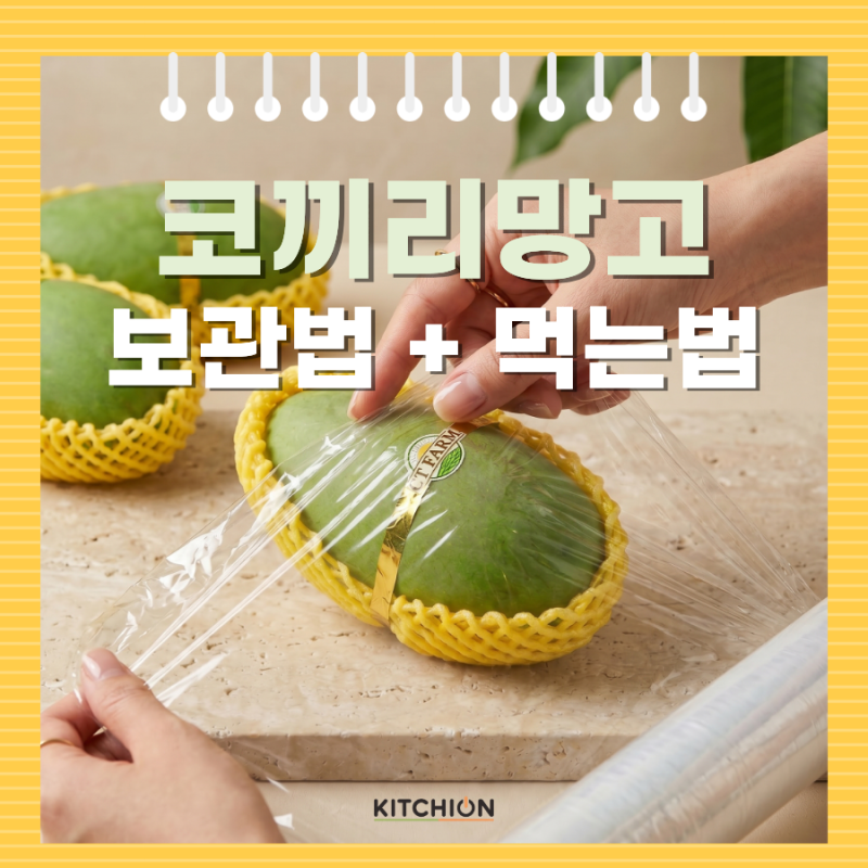 코끼리 망고 보관법 + 먹는 법까지 한 번에 정리