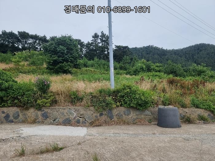  경상북도 울릉군 북면 현포리 775-2, 넓은 대지 품은 전원주택 경매 투자 기회 포착! 2024타경2334