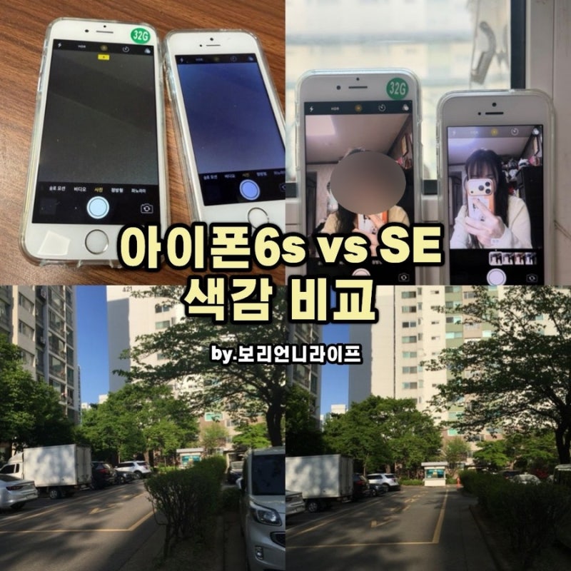 아이폰6s vs SE 색감 비교 직접 찍어봄 애플리에서 구매 후 느낀 차이