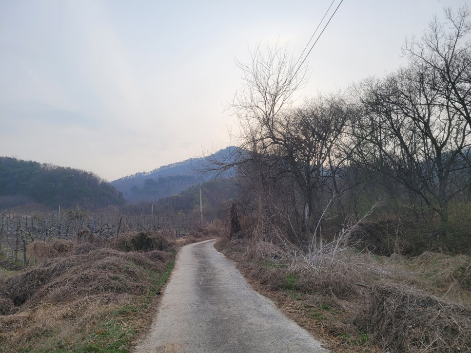 묵봉산 사진 6