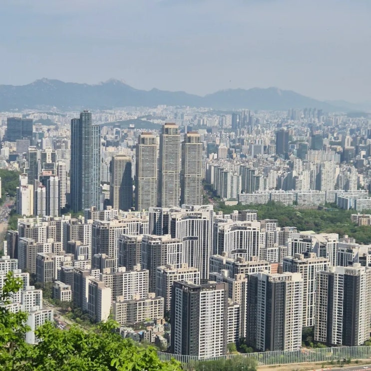  부동산 땅의 가치는 단순히 투기가 아니다. 다주택자에 징벌적 과세하는 대한민국 부동산 정책