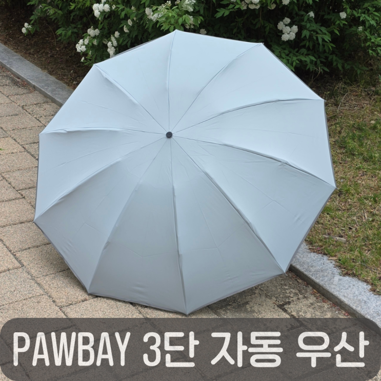  비오는 날 필수템 PAWBAY 파스텔라 역방향 접이식 3단 자동우산
