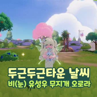  두근두근타운 날씨 비(눈) 유성우 무지개 오로라 공략
