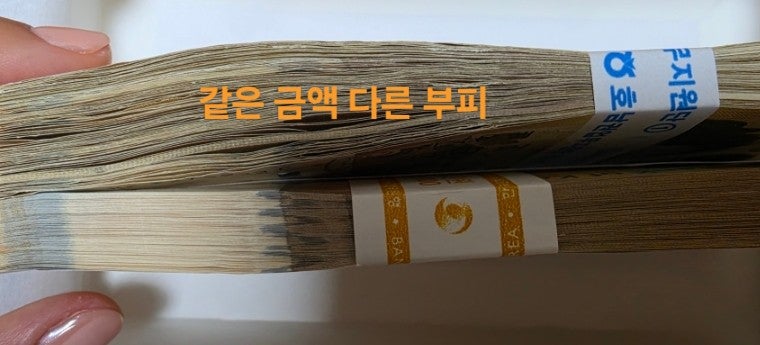 W11. 생각보다 더 많이 고민했던 예단비 준비 및 현금 예단 봉투 후기 | 5만원권 지폐 두께