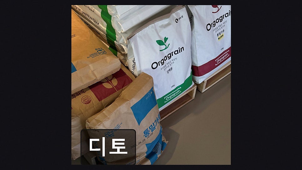 디토 사진 3