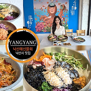 강원도 양양 가볼만한곳 낙산사 주변 맛집 양양 쏠비치 물회 횟집