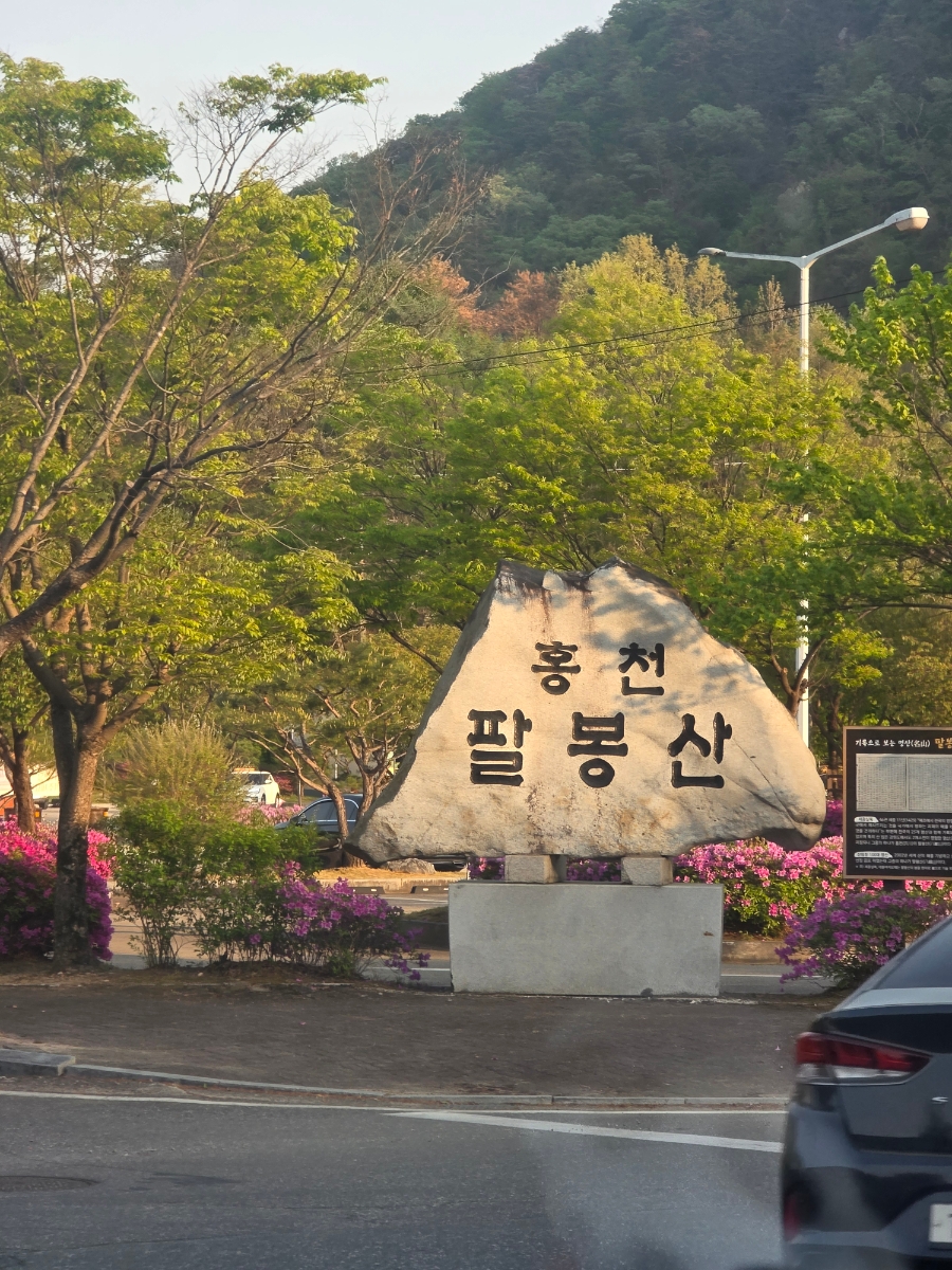 비발디베르만펜션 사진 2