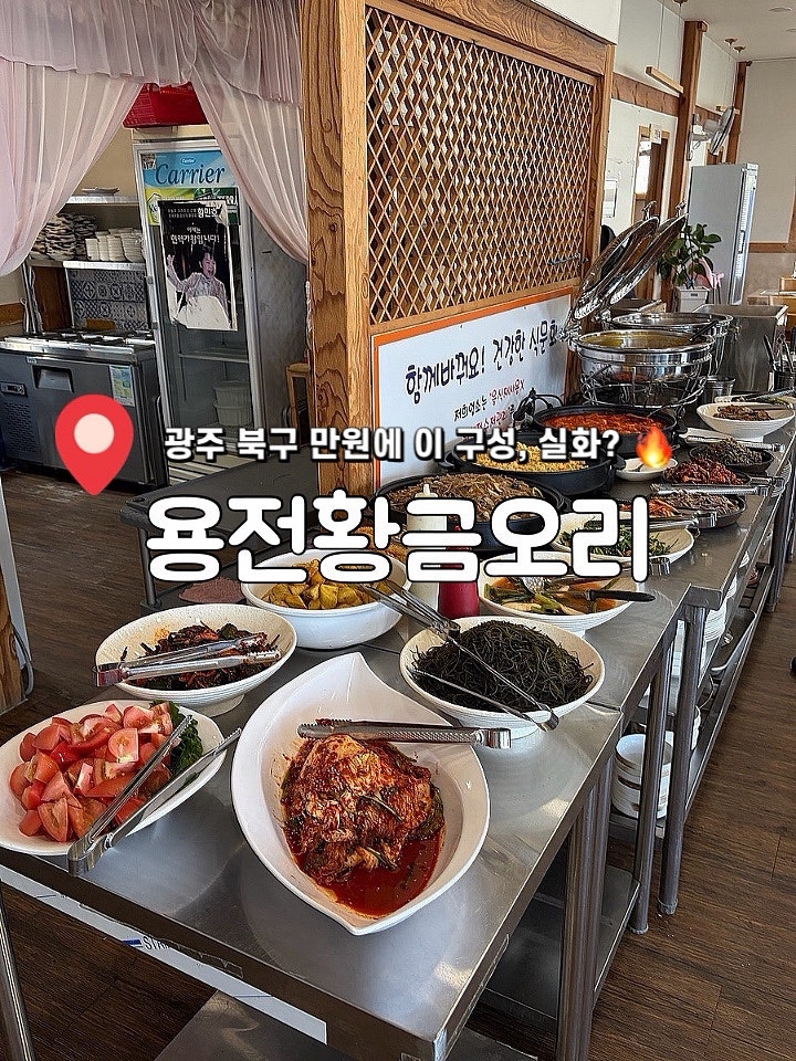 용전황금오리 사진 1