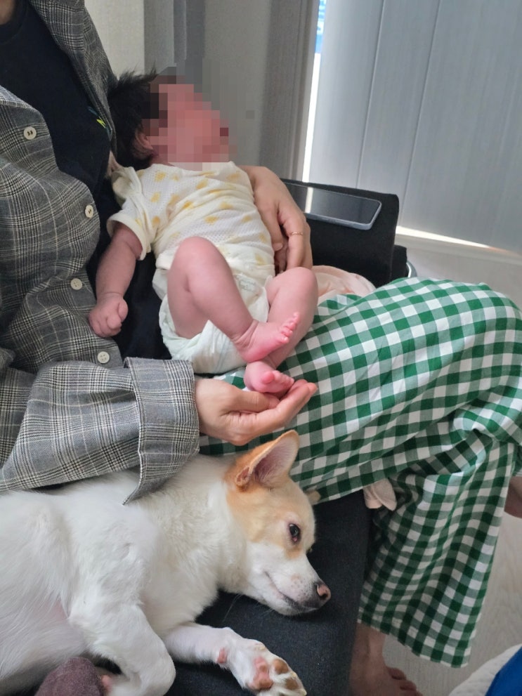  임산부 직장인 일상일기 식단기록 신생아테라피