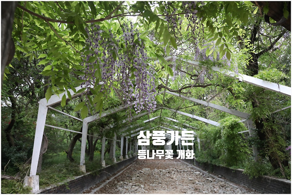 삼풍가든 사진 1