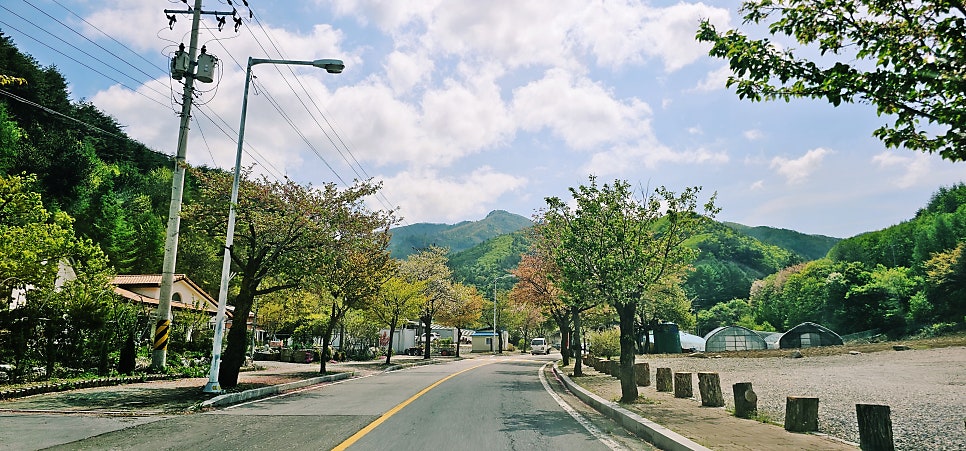 백병산 사진