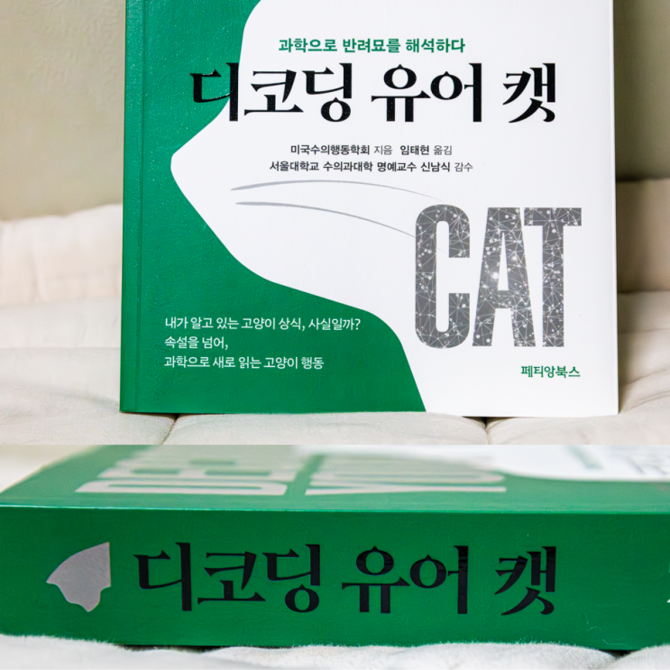  집사필독서 디코딩유어캣 고양이키우기 고양이 행동 언어 알기