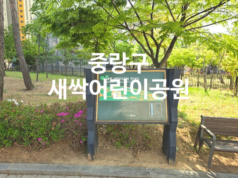 사진 7